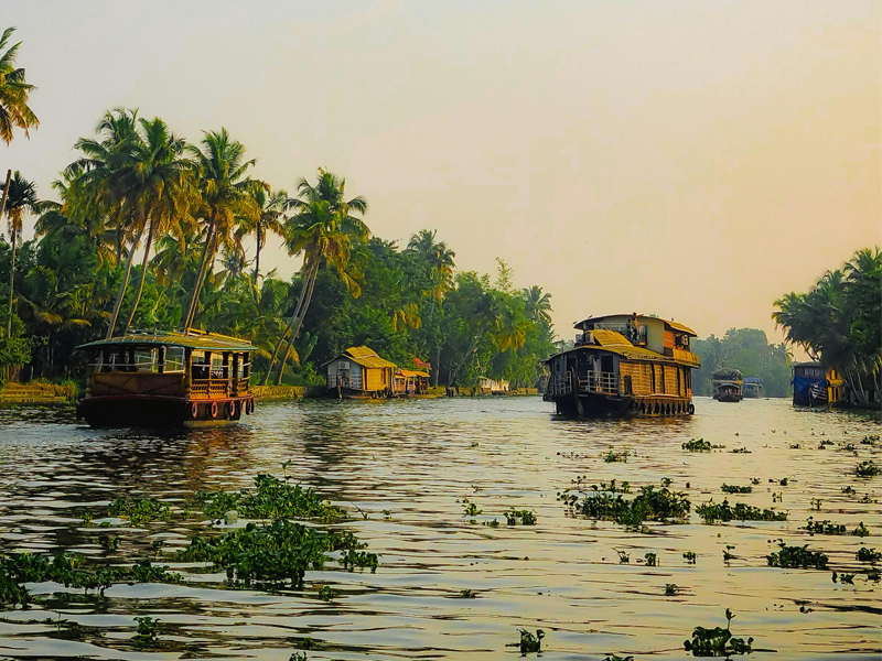 Top Tour Operators For Boat House in Alappuzha near me